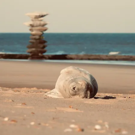 Aime Aan Zee Beachhouse 5p - Private Garden & 2 Free Parkingspots Villa