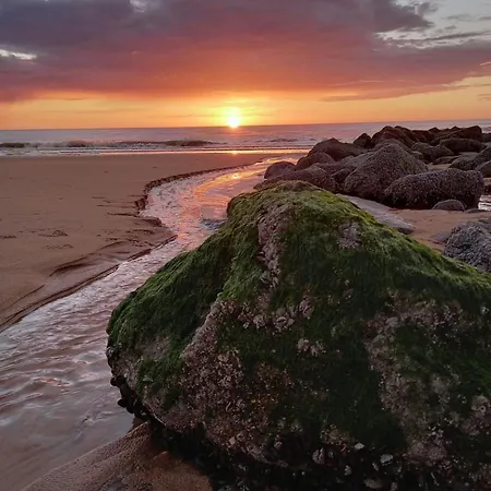 Villa Aime Aan Zee Beachhouse 5p - Private Garden & 2 Free Parkingspots